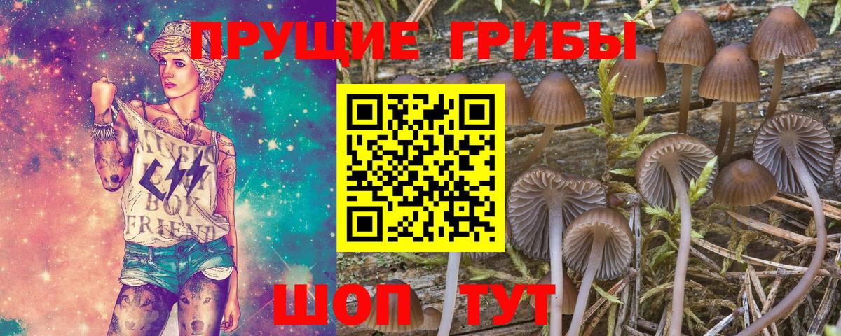 Псилоцибиновые грибы Psilocybe  Вход с VPN  Якутск  Галлюциногенные грибы Psilocybine cubensis 